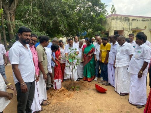 TREE-PLANATION-4