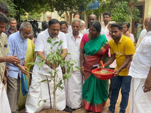TREE-PLANATION-7